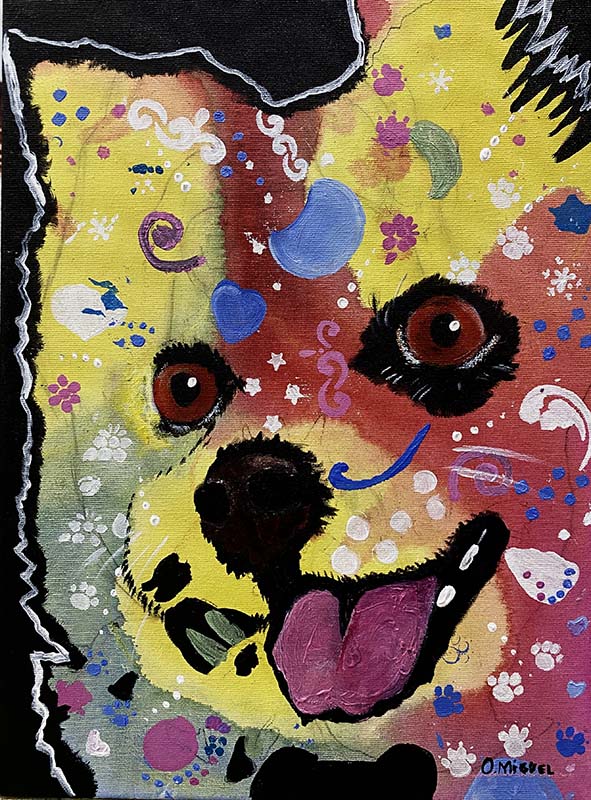 Pet - 30 x 40 - Ast